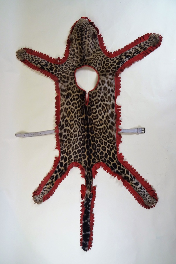 Campaign Military Drummers Leopard Skin Taxidermy Apron, Boer War